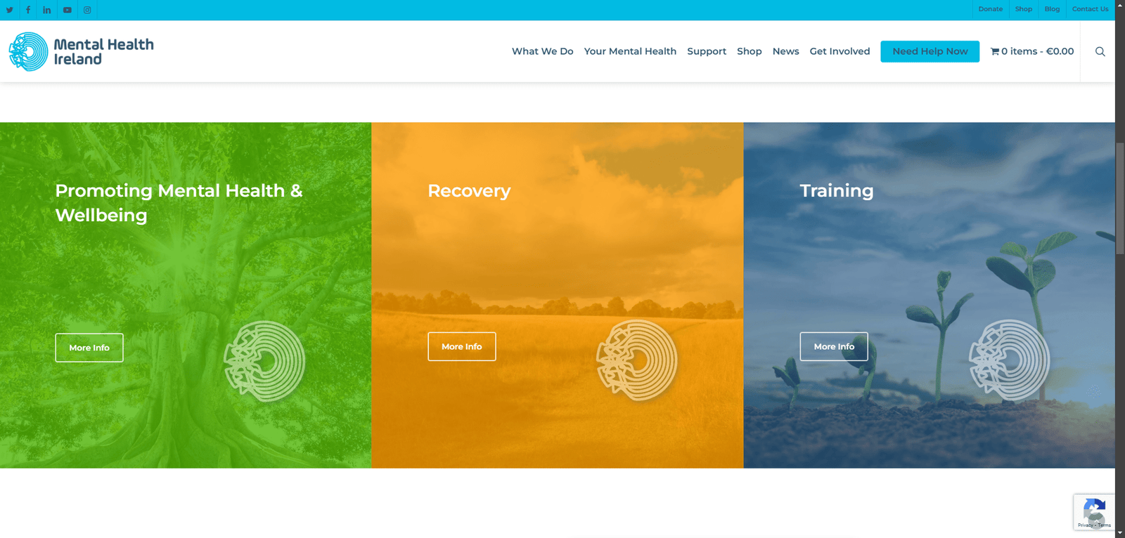 Mental Health Ireland