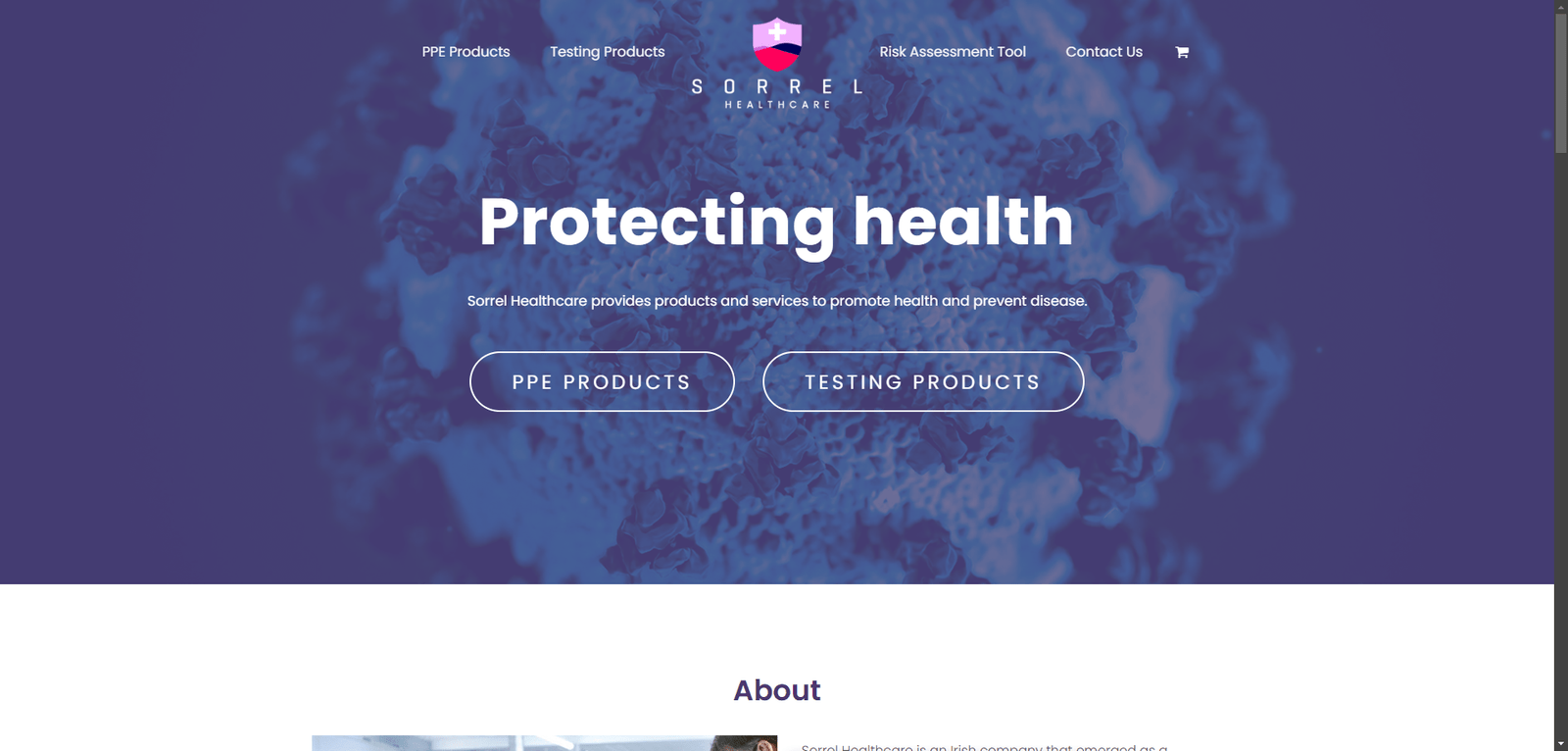 Wordpress Web Development