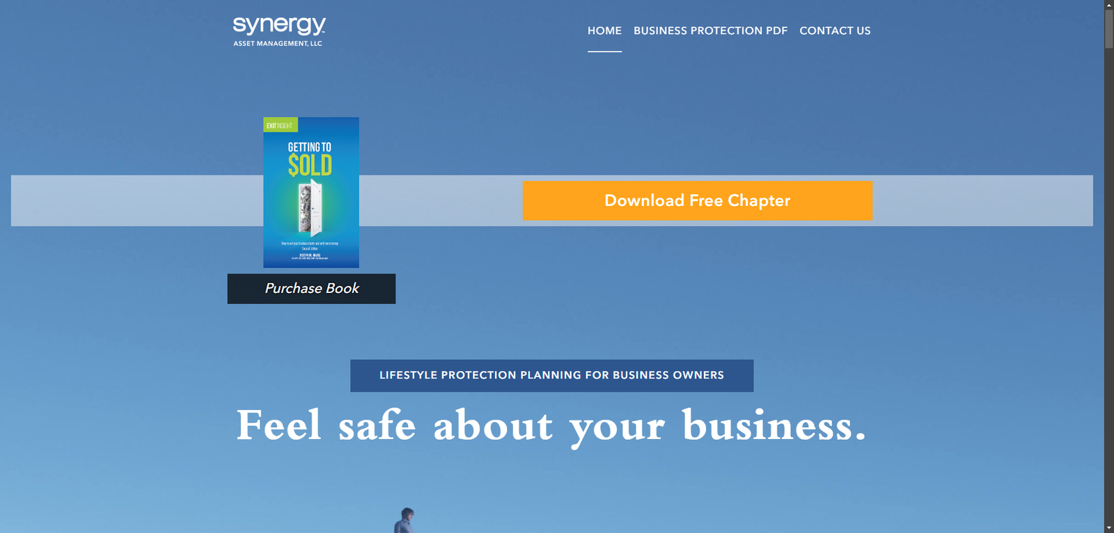 Wordpress web development
