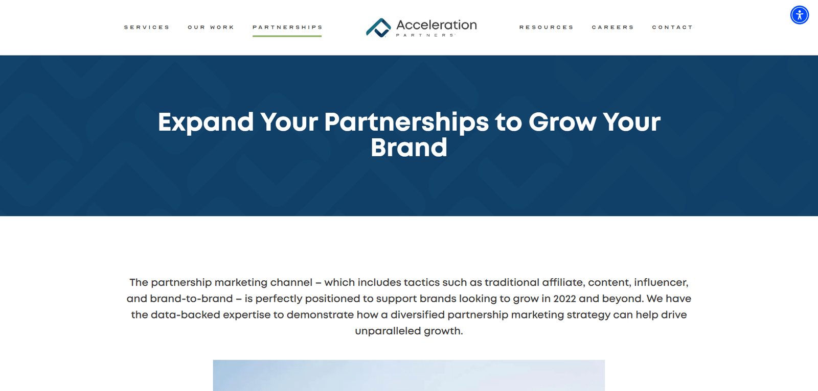 Wordpress Website Development