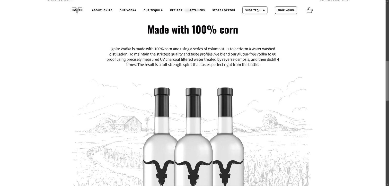 Ecommerce Shopify website Development