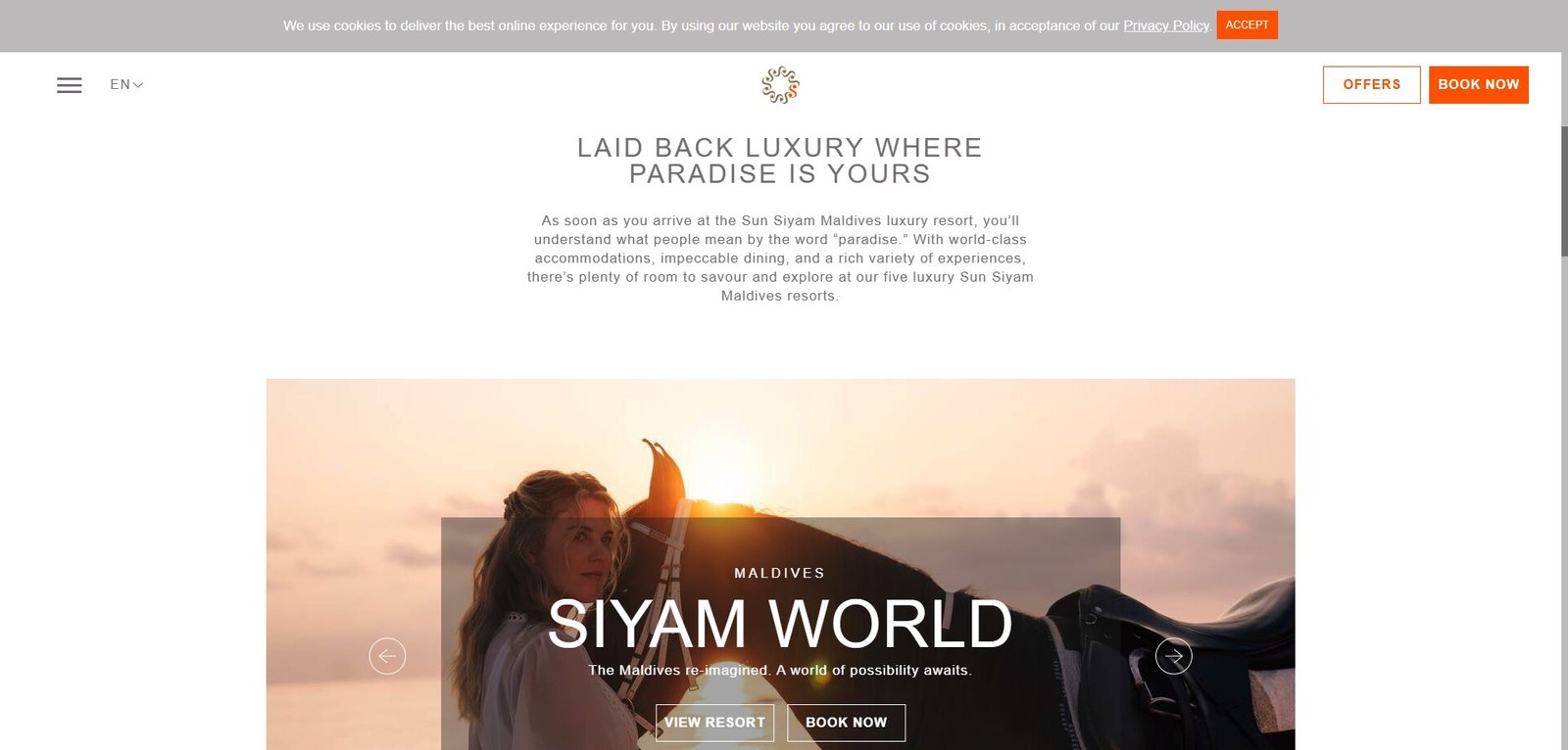 .net website development